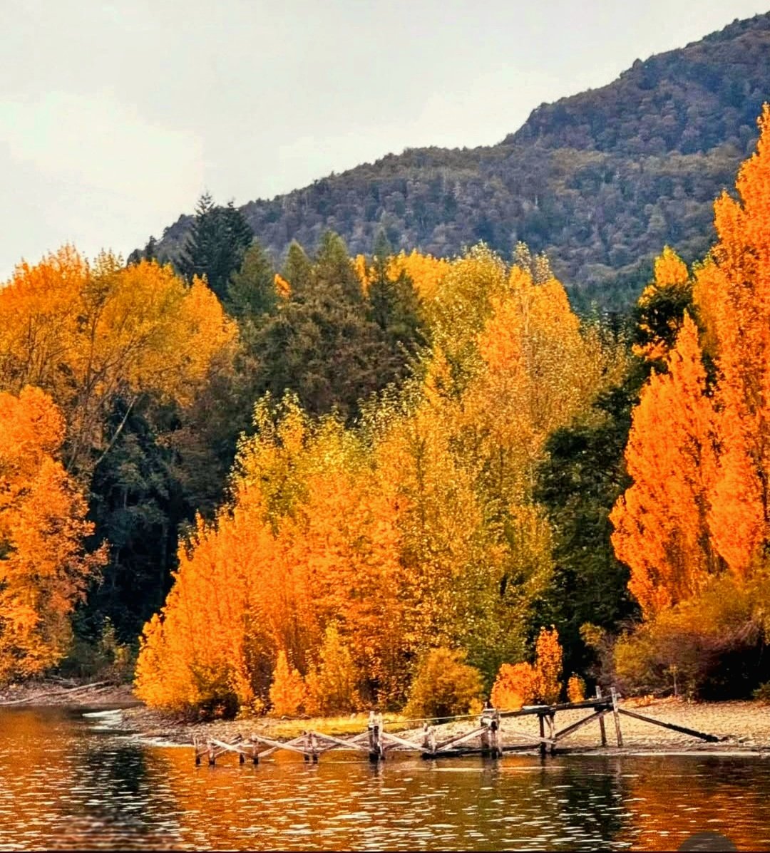 Lili Sur tweet media