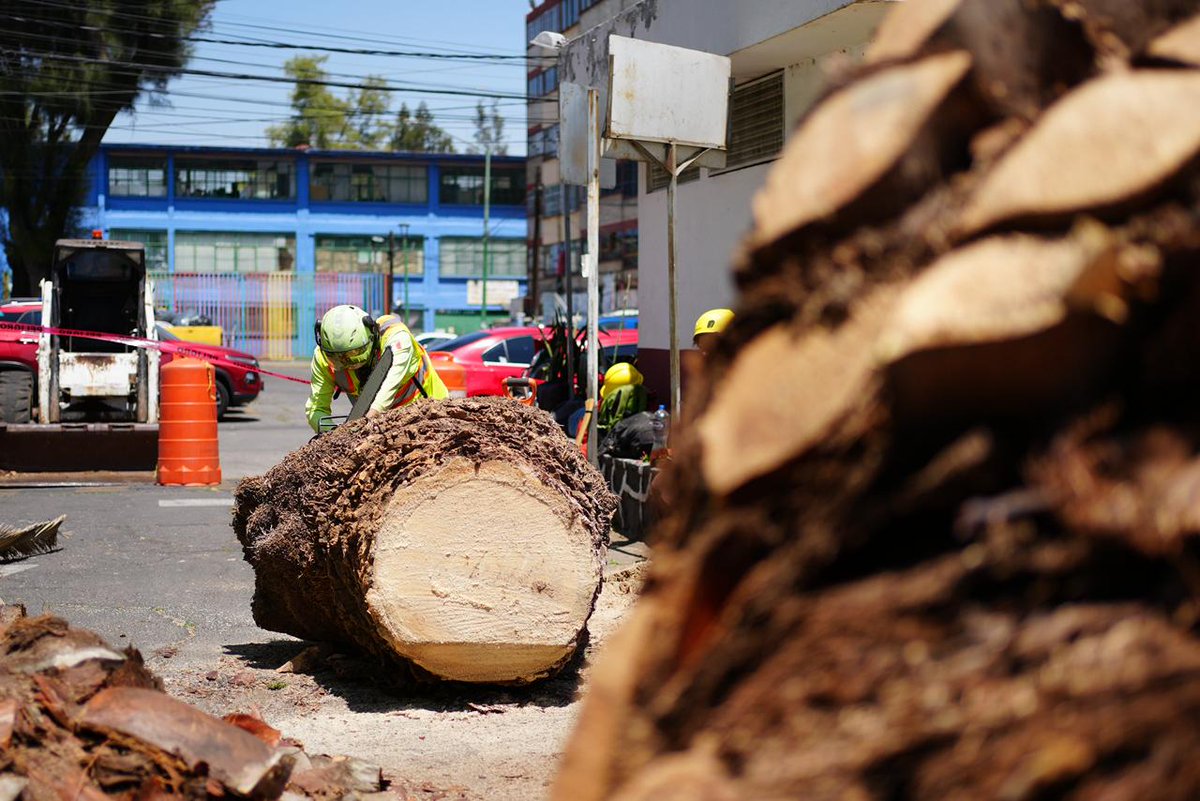 Secretaría del Medio Ambiente tweet media