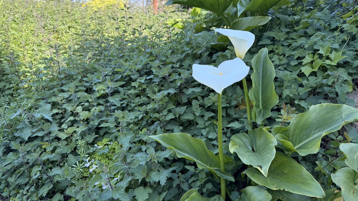 Mareks Geistarts🇺🇦 tweet media