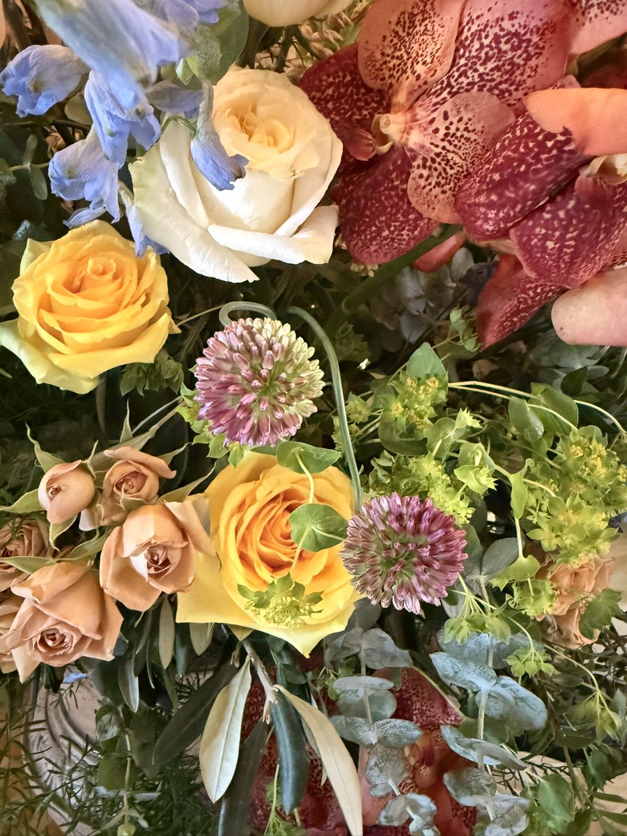 Kalia Tarelle DC 💕 tweet media