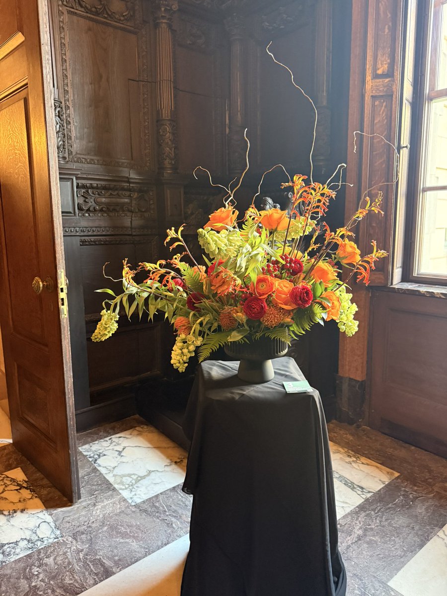 Kalia Tarelle DC 💕 tweet media