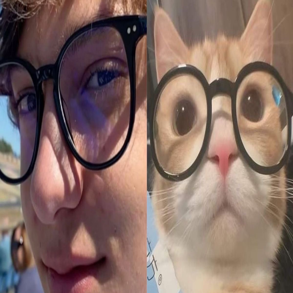 -O- romii tweet media