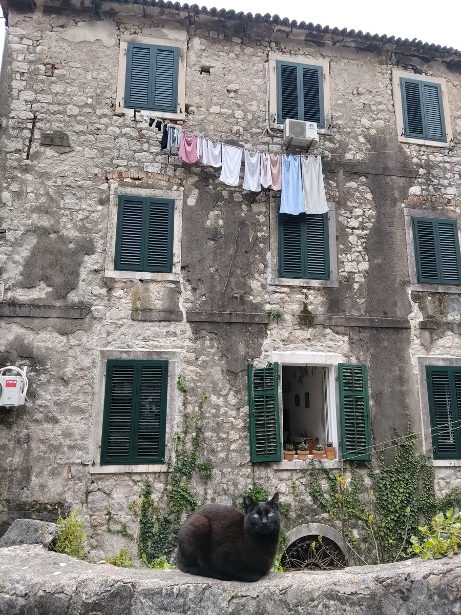 Enrique Nácher tweet media