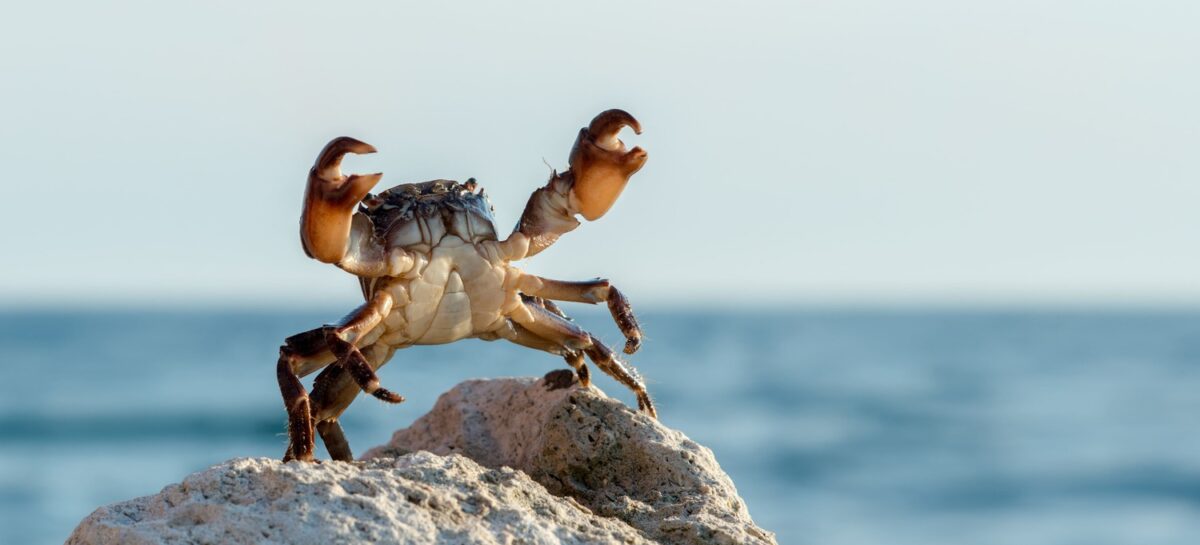 Hellowork tweet media