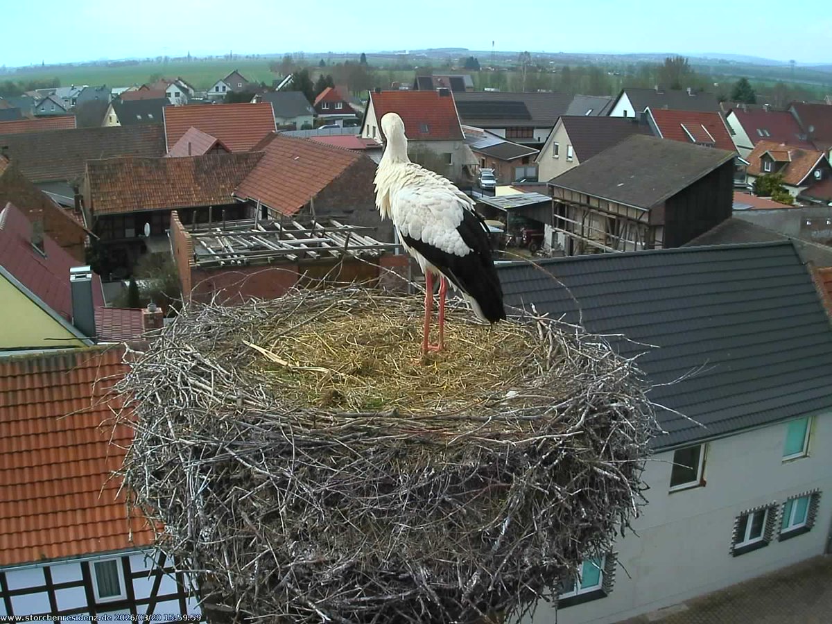 Unsecured CCTV Cameras tweet media