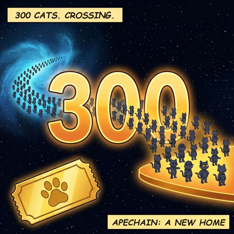 Jay B 😻🚀 tweet media