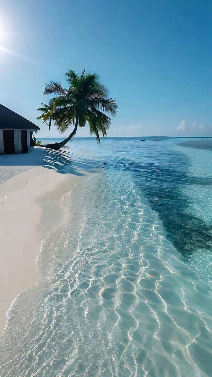 🪄❤️🔥〽️ona ❤️🔥🪄🪄🦂»💥«🐯 tweet media