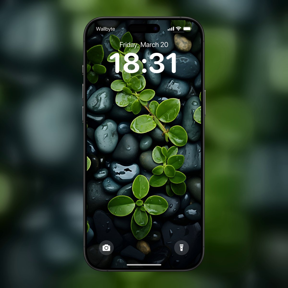 4k_walls's tweet image. New Wallpaper...

❤️ &amp;amp; 🔄 for support!

#wallbyte #nature #leaves # #hurbs