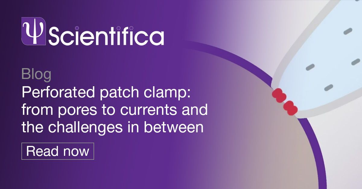 Scientifica tweet media