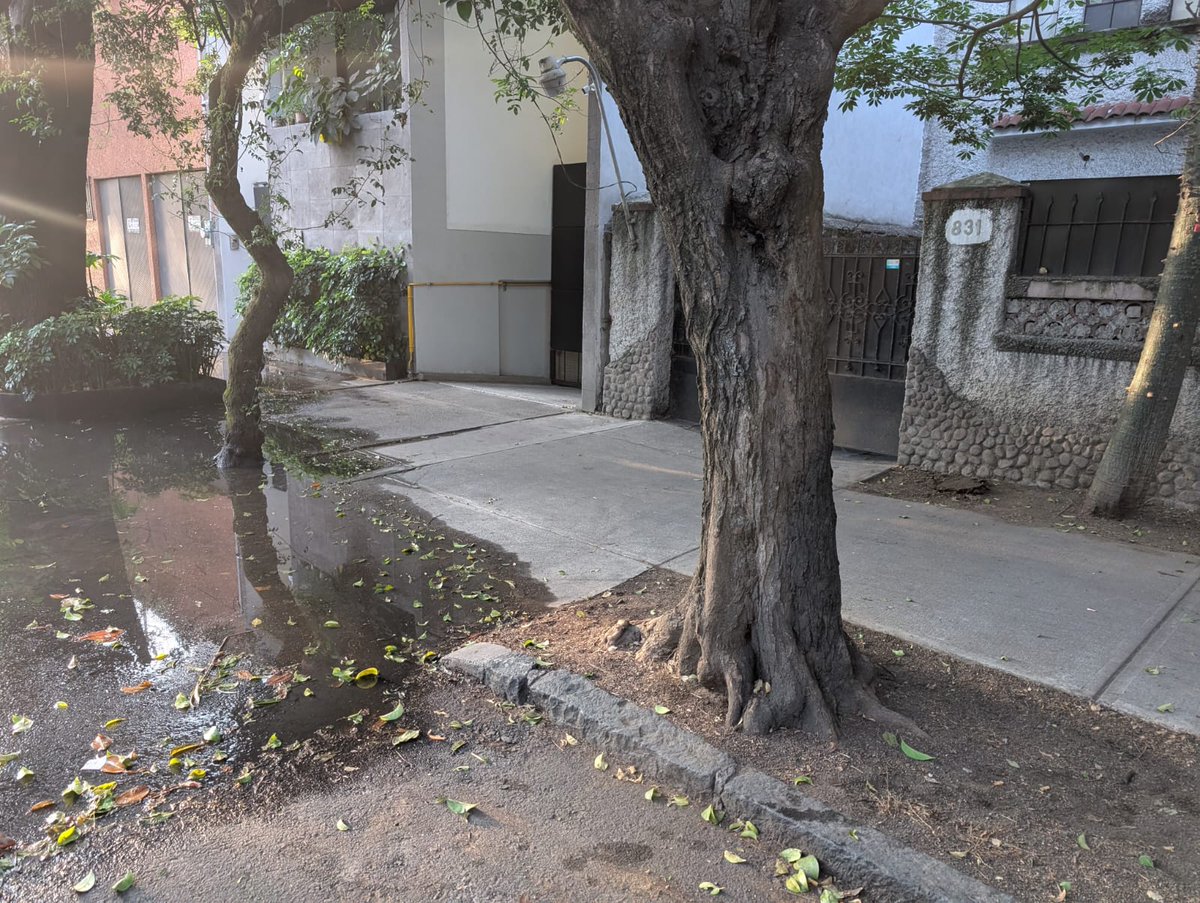 _niamel_'s tweet photo. @SEGIAGUA para reportar que hay una fuga de agua frente al #831 de Concepción Beistegui (entre López Cotilla y Gabriel Mancera) en la Col. Del Valle, Alcaldía Benito Juárez. https://t.co/xxfMBdiqjP