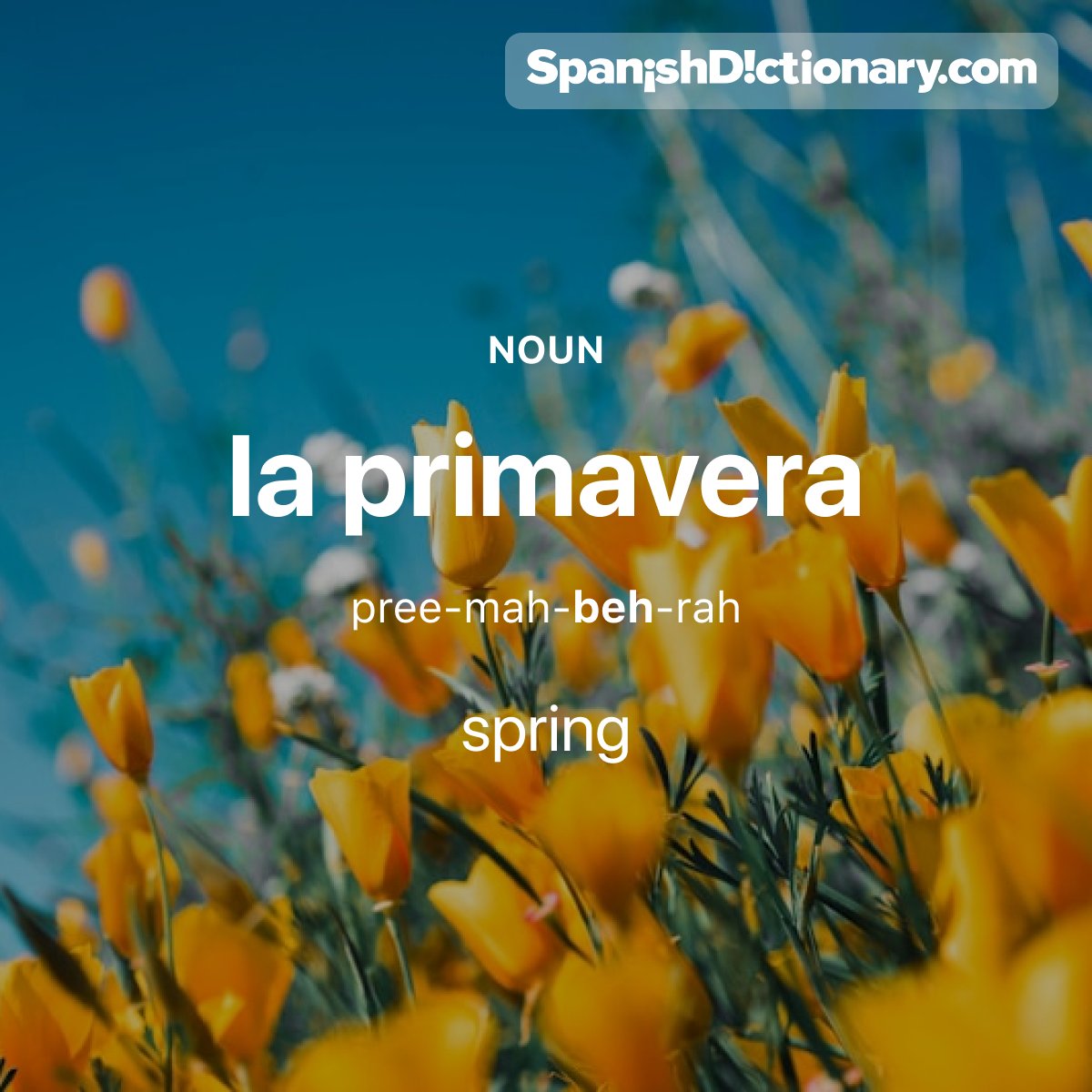 SpanishDict's tweet photo. Today's #WordOfTheDay is "primavera."🌸 For example: ¡Finalmente llegó la primavera! - Spring is finally here!

#EstudiaEspañol #StudySpanish #AprendeEspañol #LearnSpanish #Español #Spanish #LearningSpanish #PalabraDelDia https://t.co/QTHxs6kl6T