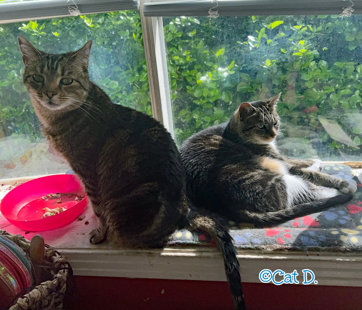 Robyn Anderson tweet media