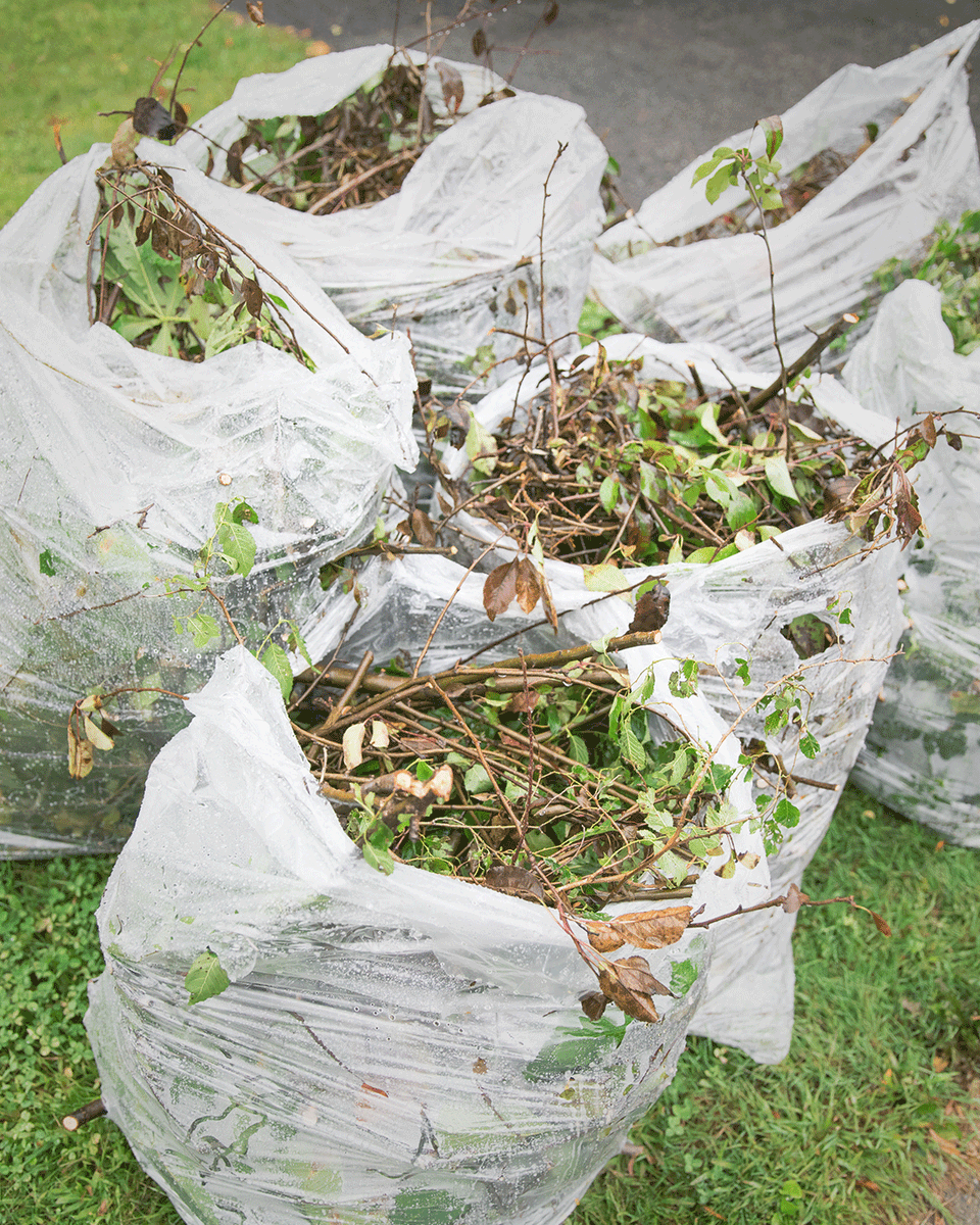 GFL Environmental tweet media