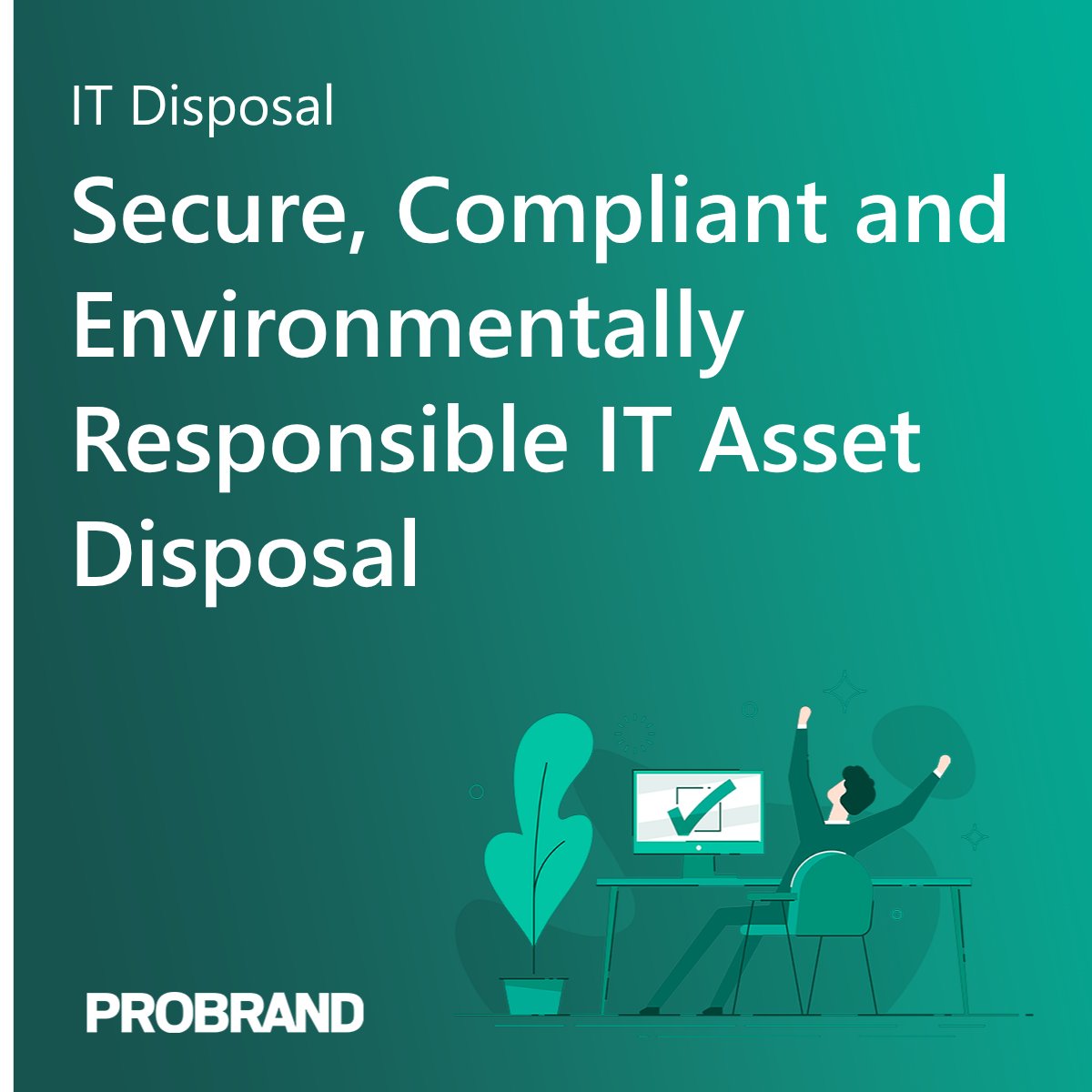 Probrand tweet media