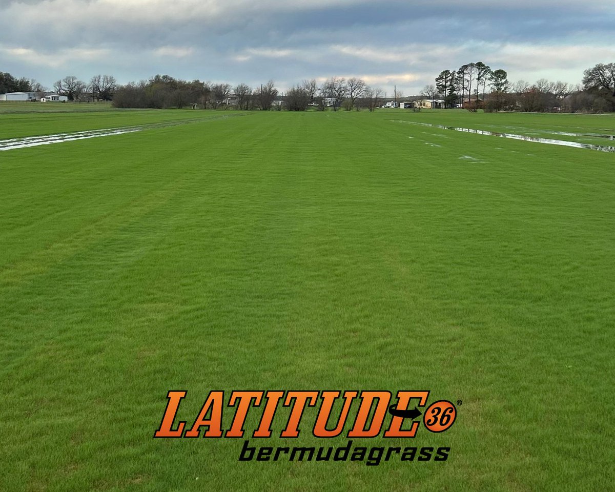 Sod Solutions tweet media