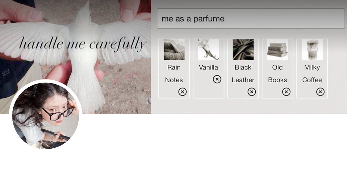 𝘚oleiana. tweet media