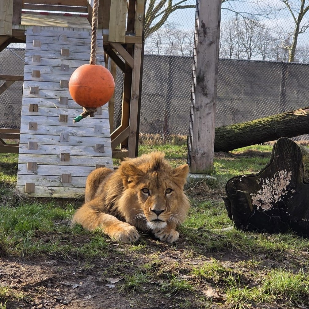 FOUR PAWS International tweet media