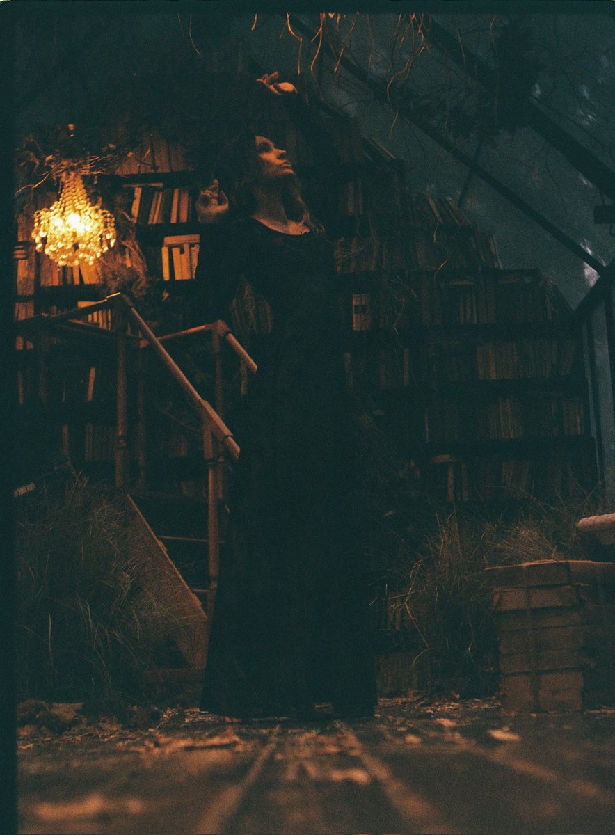 Veronika 🧡 tweet media