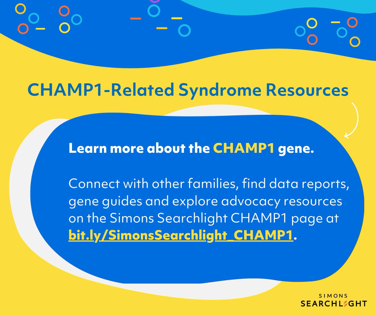 Simons Searchlight tweet media