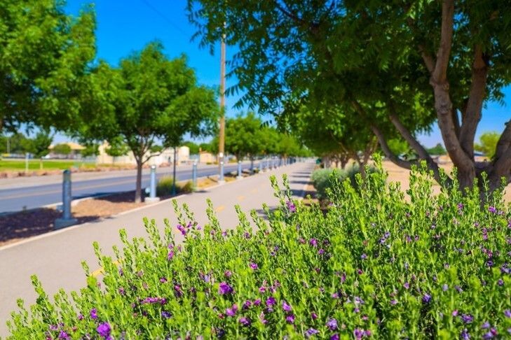 PdNH Foundation tweet media