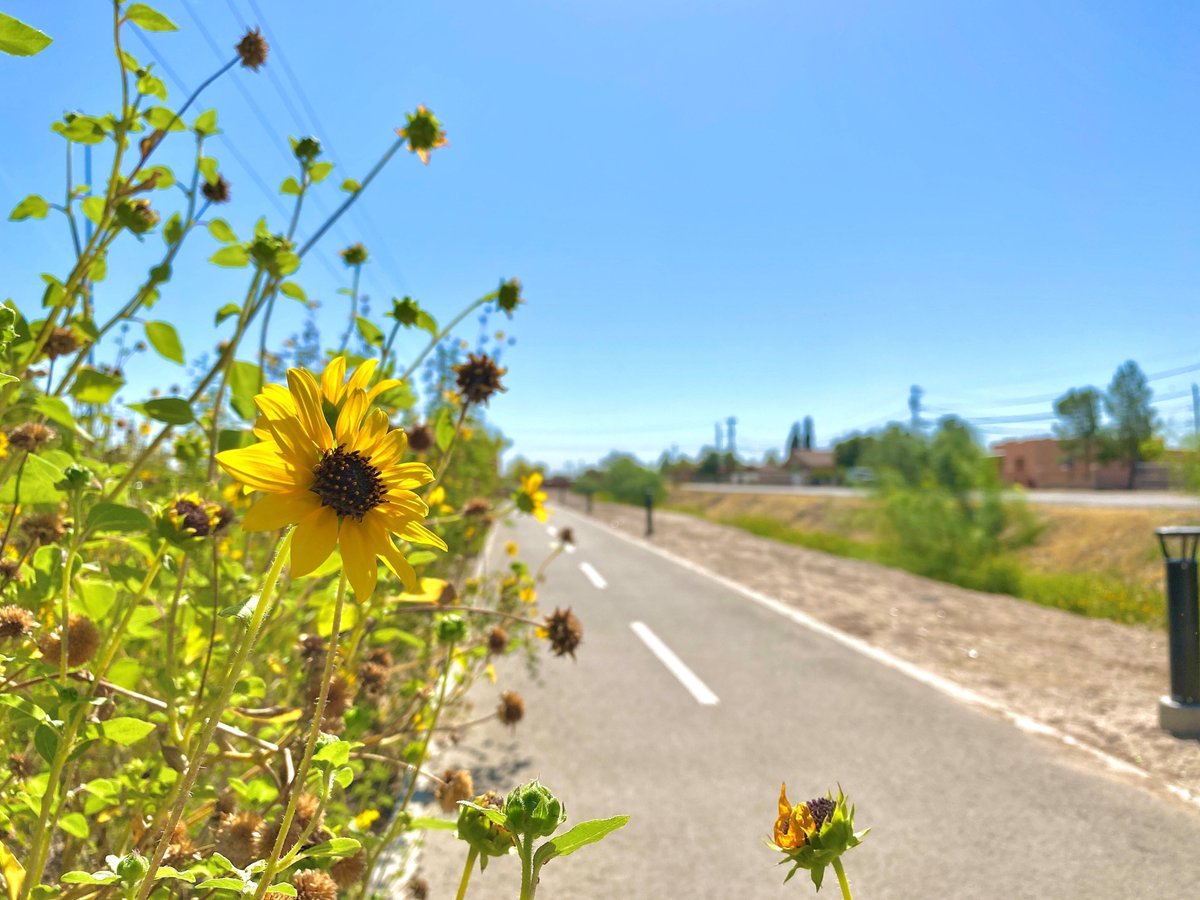 PdNH Foundation tweet media