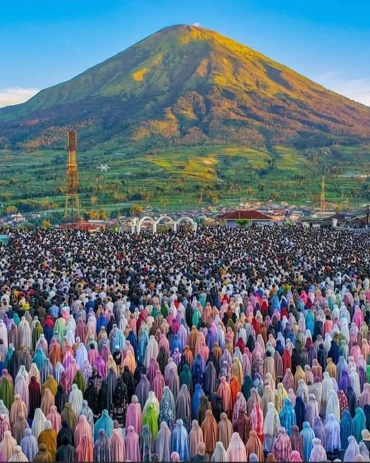 يوسف القاسمي tweet media