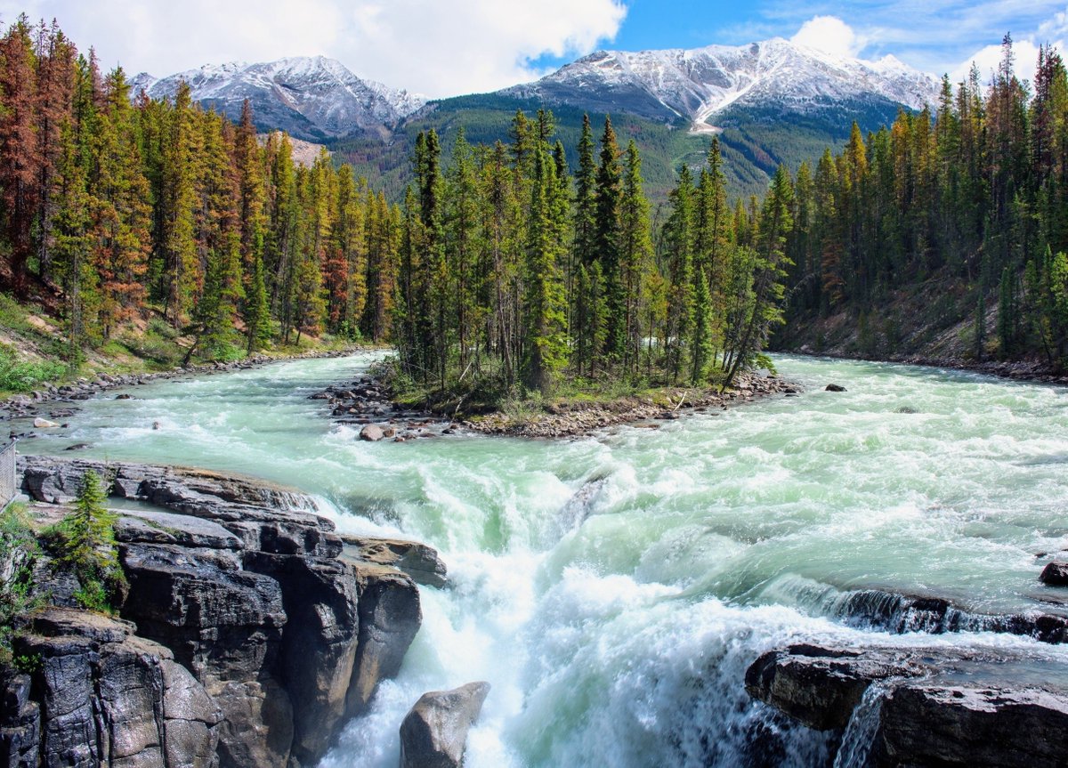 Earth.com tweet media