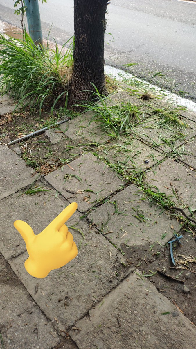 MARTIN de Córdoba tweet media