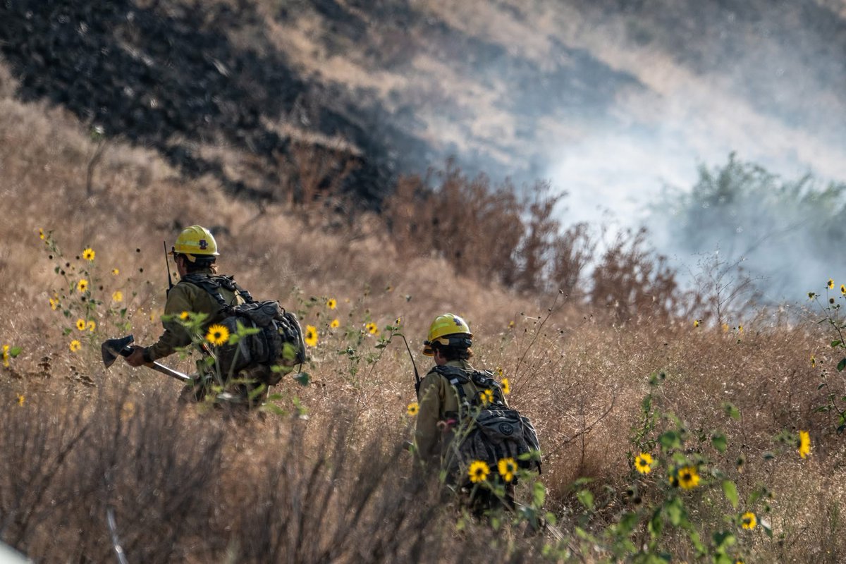 U.S. Wildland Fire Service tweet media
