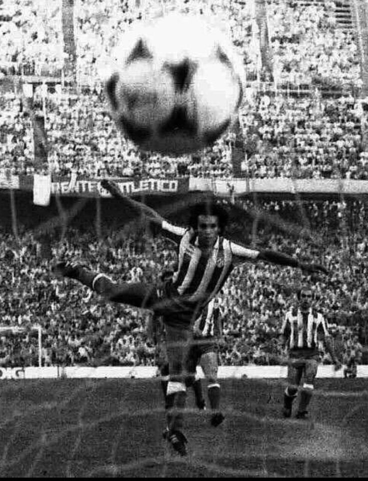 Sock Council tweet media