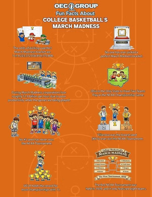 OEC Group tweet media