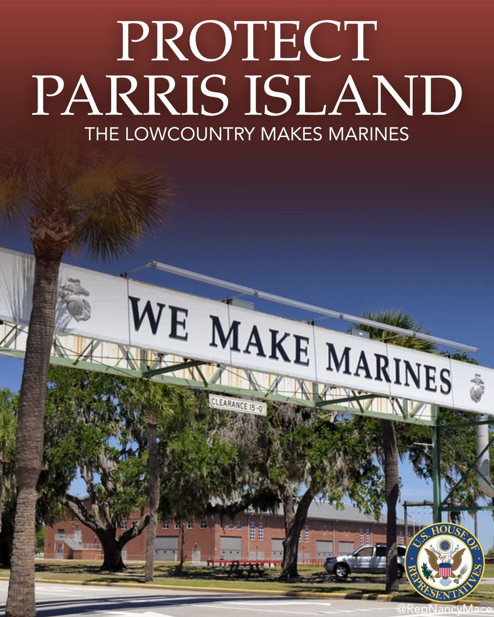 Rep. Nancy Mace tweet media