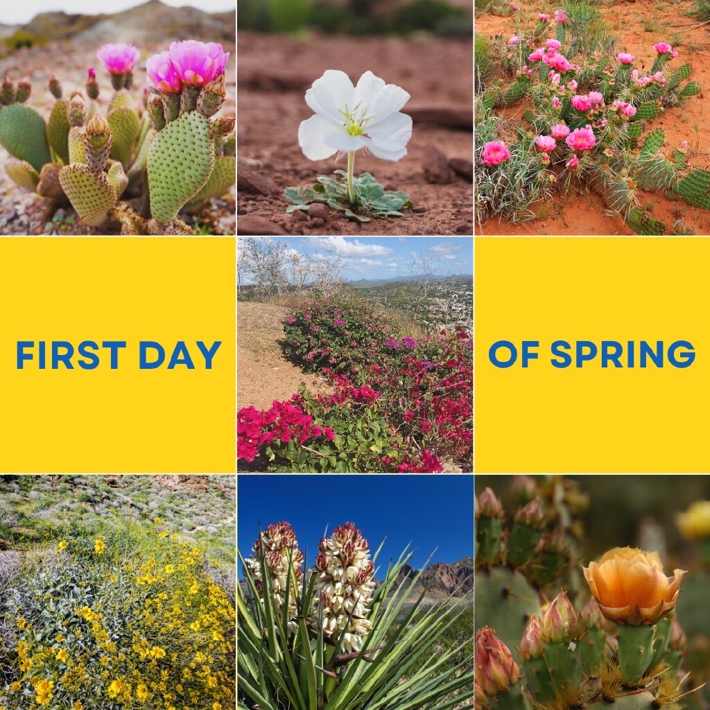Happy First Day of Spring! This is the perfect time to do a clean sweep of your home to make sure you’re ready for the hot months ahead.  Explore our room-by-room tour for ways to keep your cool all season long: uesaz.com/efficient-home/