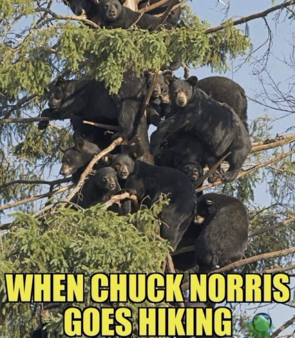 Marie Isabella tweet media