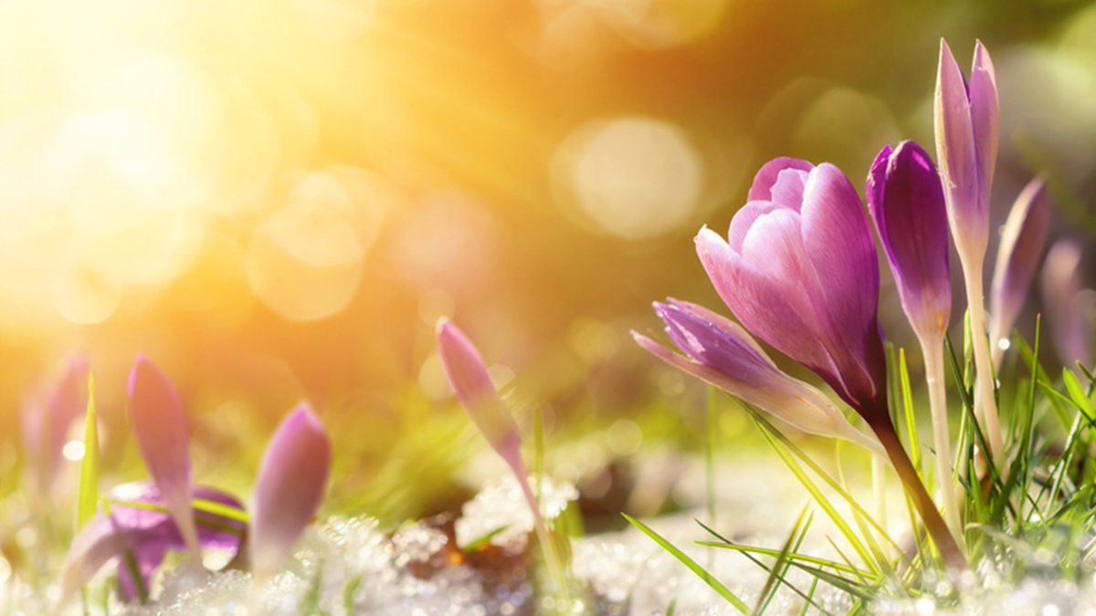 CatapultLaunch's tweet image. 🌸 Happy first day of spring! Spring’s arrival is more than a change in weather — it’s a chance for leaders to reset, recharge, and grow. 

Spring into actionable ways to embrace renewal this season:
🌱 ow.ly/OjXv50YvUFm 

#Catapult #Leadership #HappySpring
