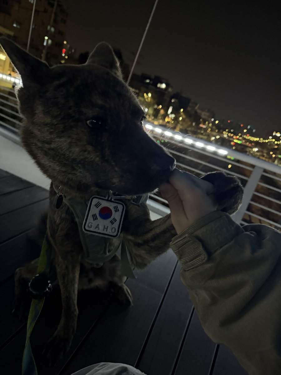 가호누나 tweet media