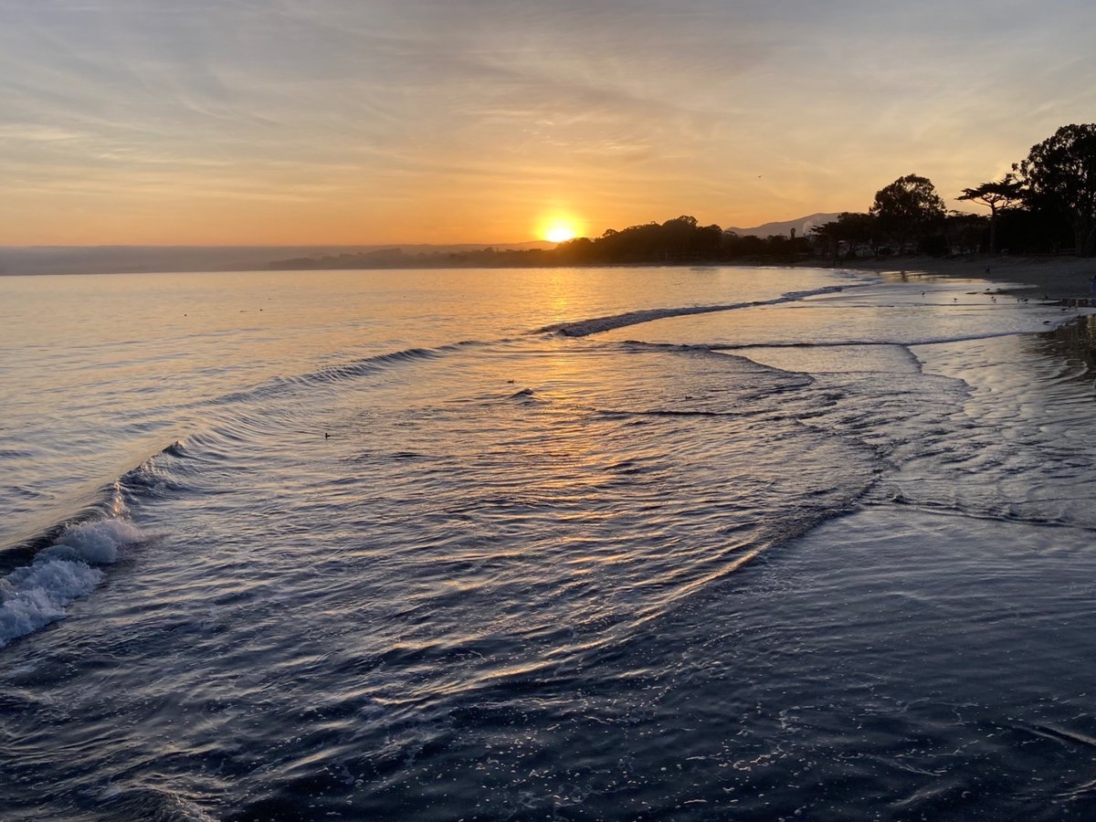 Suzanne Murray tweet media