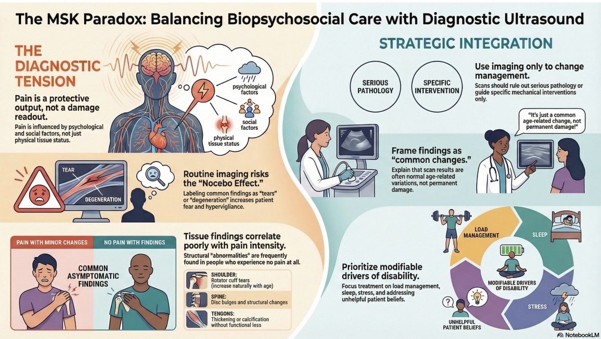 ɹǝʇlnoԀ pıʌɐᗡ 🚴🏻 🇺🇸 🇦🇺 🇬🇧 tweet media