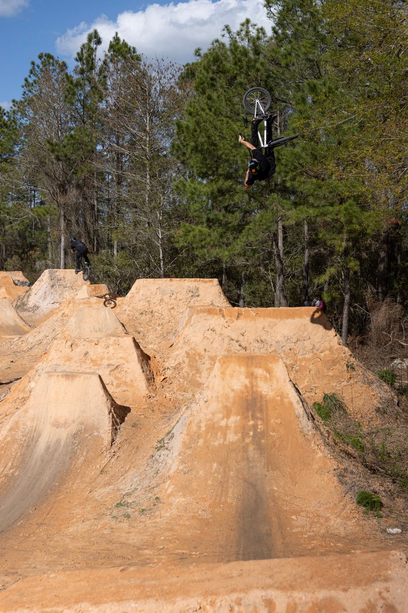 Profile Racing tweet media