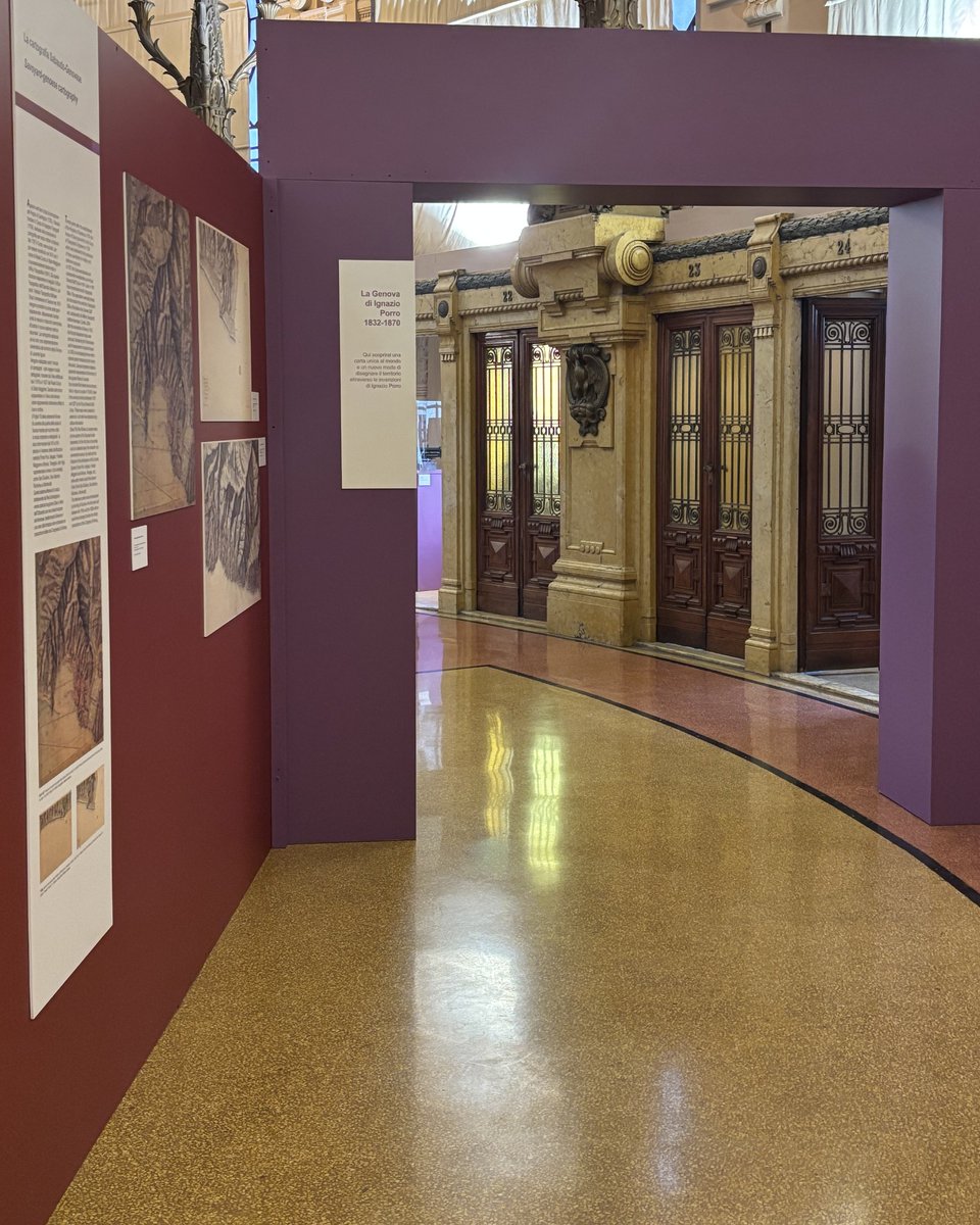 genovamorethanthis tweet media