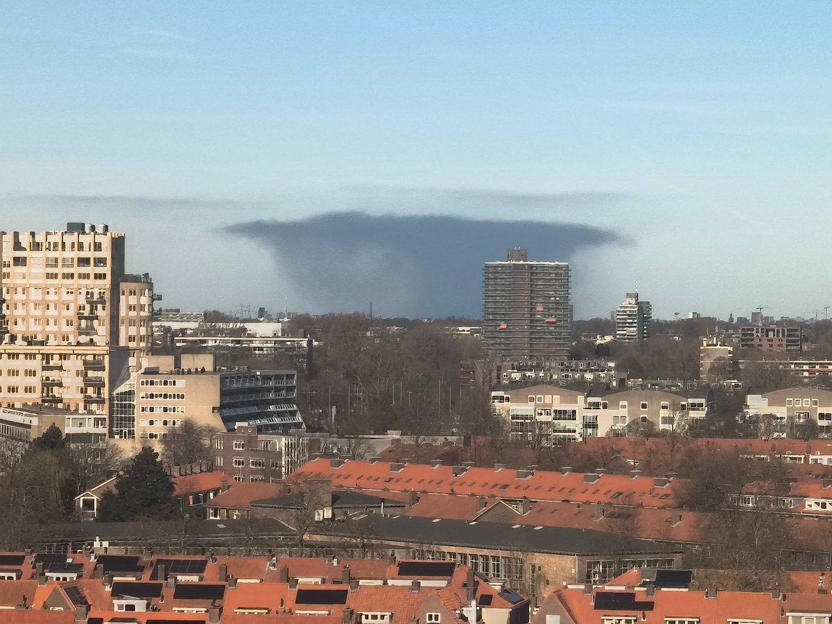 Harmen Sijdeur tweet media