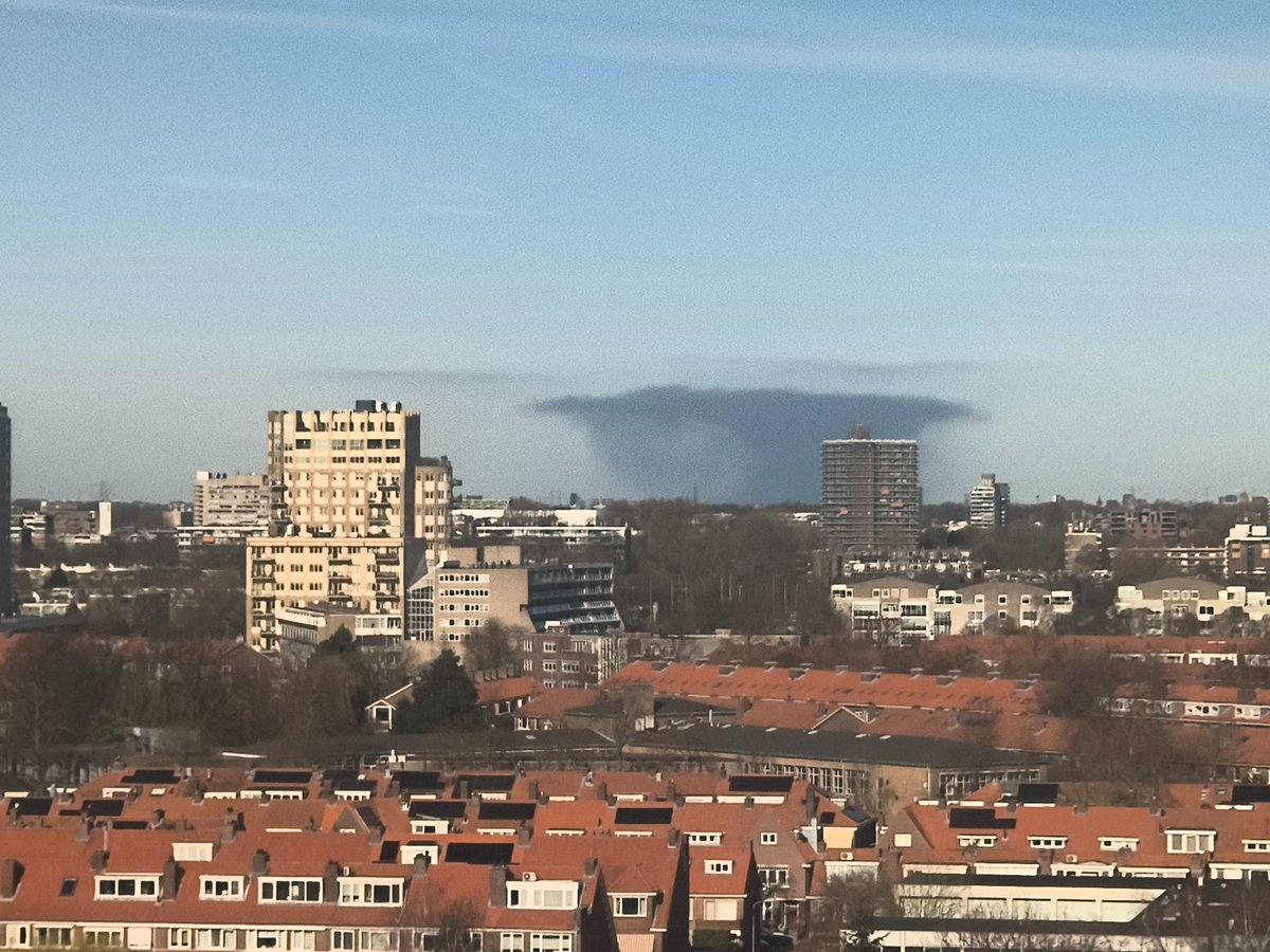 Harmen Sijdeur tweet media