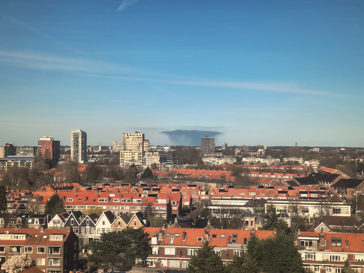 Harmen Sijdeur tweet media