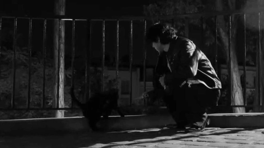 Al - yog. tweet media