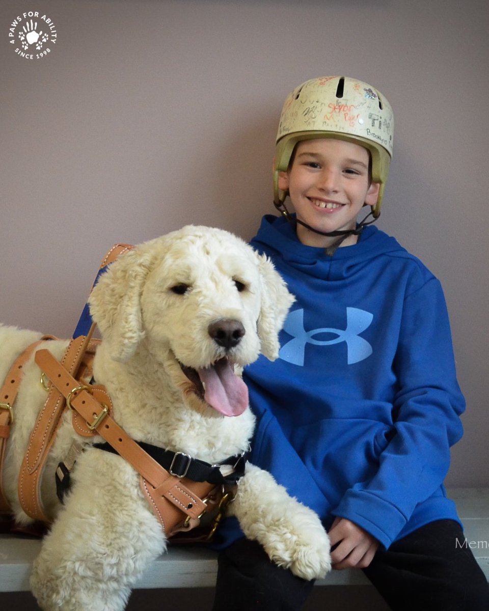 4 Paws For Ability tweet media