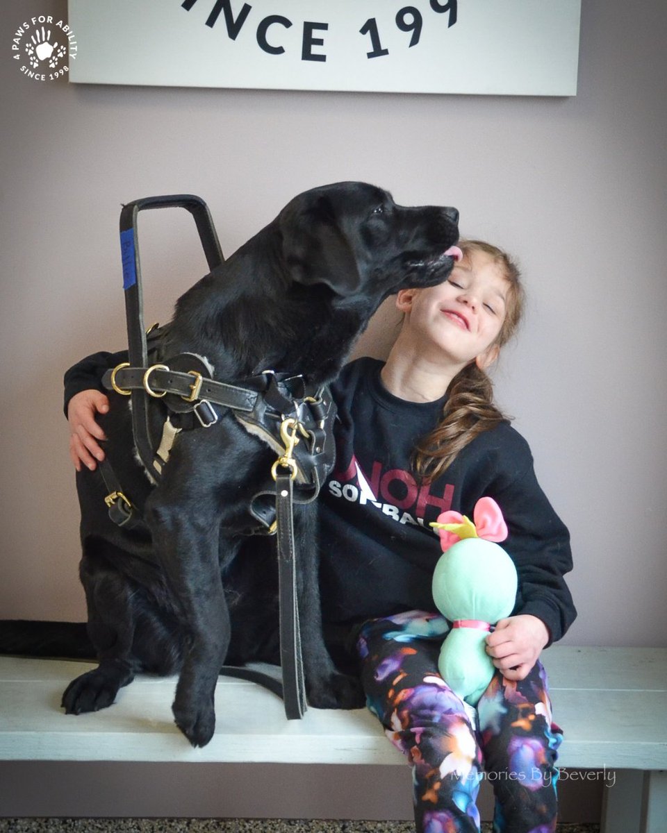 4 Paws For Ability tweet media