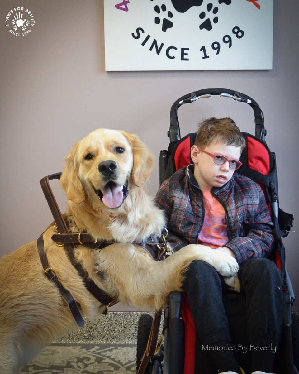 4 Paws For Ability tweet media