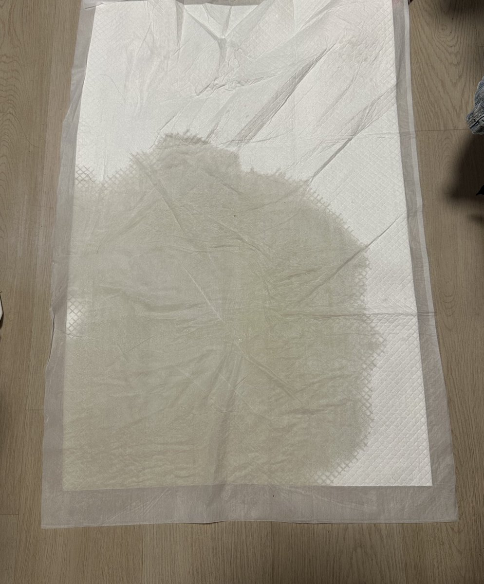 只是鱼条 tweet media