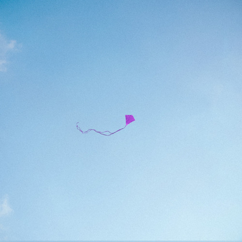 MusicInjections tweet media