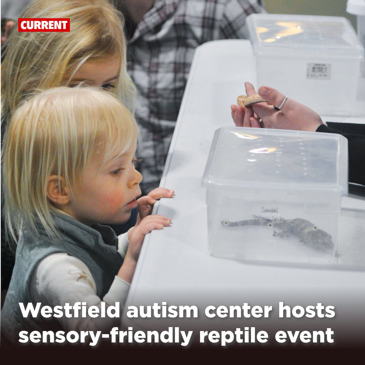 Current Publishing tweet media